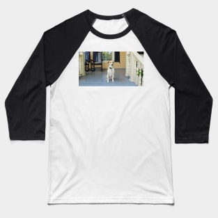 Good Dog Baseball T-Shirt